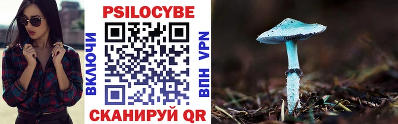Галлюциногенные грибы MAGIC MUSHROOMS  Владимир 