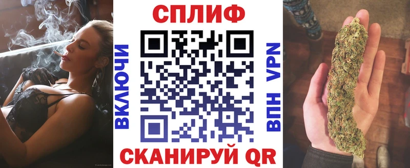 Каннабис OG Kush Владимир